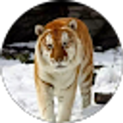 Profile photo of rachael marcusen