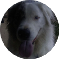 Profile photo of Ulrike Hamby