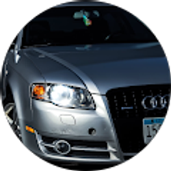 Profile photo of Luke Youngman