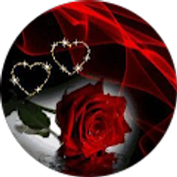 Profile photo of Silma Orellana