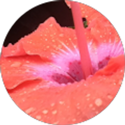 Profile photo of Samantha Klingel