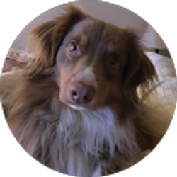 Profile photo of Tyffani Peters