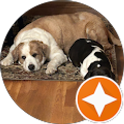 Profile photo of Susan Bryan