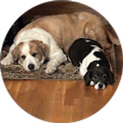 Profile photo of Susan Bryan