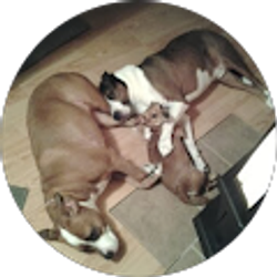 Profile photo of heather cross