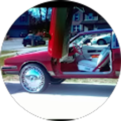 Profile photo of bo hog