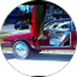 Profile photo of bo hog