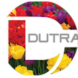 Profile photo of A Dutra