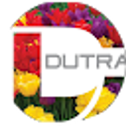 Profile photo of A Dutra