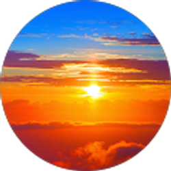 Profile photo of Alexis Briones