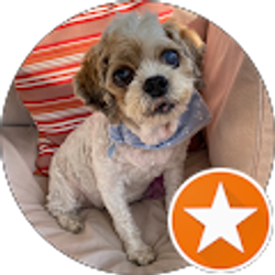 Profile photo of Nicole McCloskey