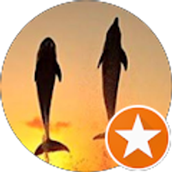 Profile photo of Stella Sutkiewicz