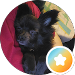 Profile photo of Kathy Tanhueco