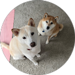 Profile photo of Mingee Arkle