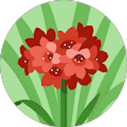 Profile photo of noemy lima