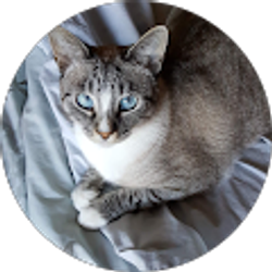 Profile photo of Cindy Adams