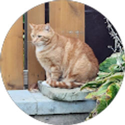 Profile photo of Nicole Kamicka