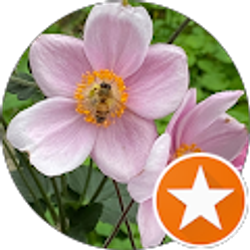 Profile photo of Dean and Amy Walker