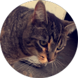Profile photo of Meghan M.