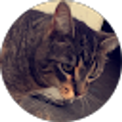 Profile photo of Meghan M.