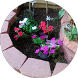 Profile photo of Margaret Guevara