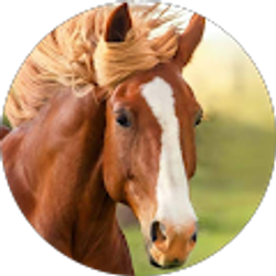 Profile photo of Micayla Pierce