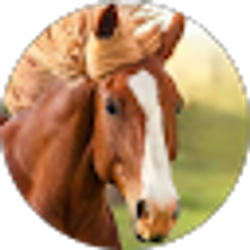 Profile photo of Micayla Pierce
