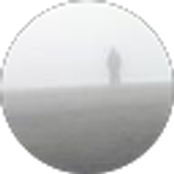 Profile photo of Alex Braithwaite