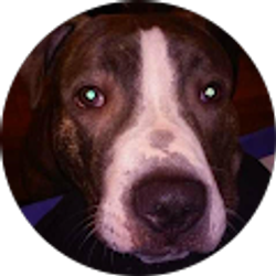 Profile photo of Mike Ro (S_L_O_U)