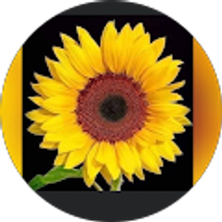 Profile photo of Leticia Nava