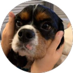 Profile photo of Oe Masa