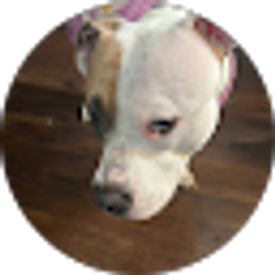 Profile photo of Jacob Byers