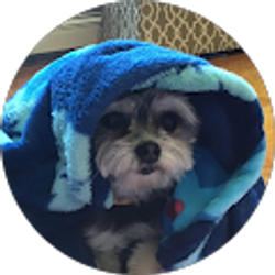 Profile photo of Laurie D