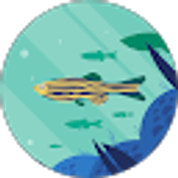 Profile photo of Ruby Justice