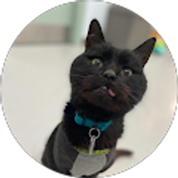 Profile photo of Crystal Hoelter