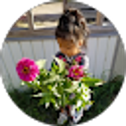 Profile photo of Vanely Roblero