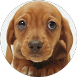 Profile photo of Mary