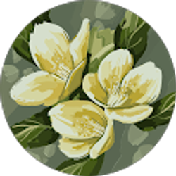 Profile photo of Mrse E