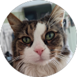 Profile photo of Kathy OConnell