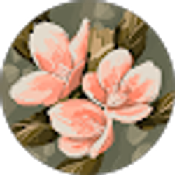 Profile photo of Nancy Ciesco