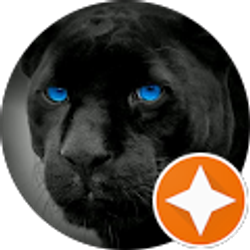 Profile photo of c k