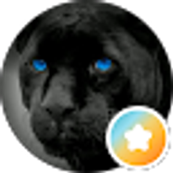 Profile photo of c k