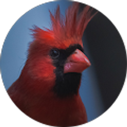 Profile photo of LGS