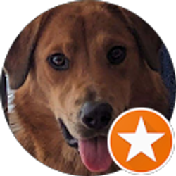 Profile photo of Renee Houghton