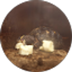 Profile photo of Cooper Roberts