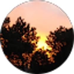 Profile photo of Celly D
