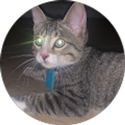 Profile photo of Jackie Villegas