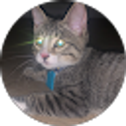 Profile photo of Jackie Villegas