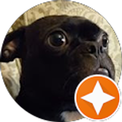 Profile photo of Alex Ferguson