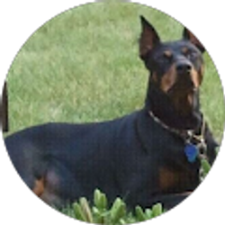 Profile photo of Bill Eneix